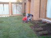 mantención y construcción de jardines 
