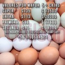huevos frescos por mayor econÓmicos por caja de 180 unidades