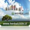 herbalife en chile distribuidores