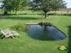 piscina ecologica sin cloro, natural y baja mantencion