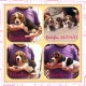 preciosos cachorros beagles inscritos en kennel club de chile 