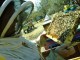 asesoria tecnica agricola y manejo  especializada en apicultura