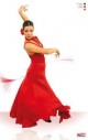 no te pierdas la oportunidad de aprender flamenco