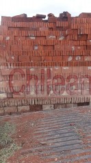 Ladrillos calidad economia proyectos