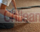 limpieza alfombras piso flotante aseo limpia sanidad