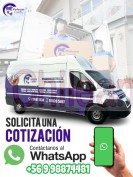 Personal profesional y apto para mudanzas en tiempo de pandemia.