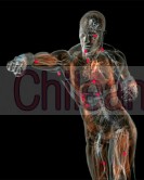 Kyusho jutsu budo kai 