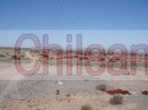 Vallenar 25 hectareas $85.000.000