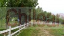 Parcela de agrado   2 hectarias  piscina arboles produciendo frutales 