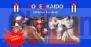 Bokenkaido es la mejor defensa conocida hasta ahora