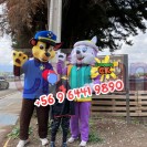 Arriendo de corporeo