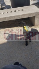 Y no se lo puedo dar