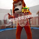 Corporeos en arriendo 