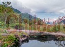 Tour operador en la region de los lagos chile
