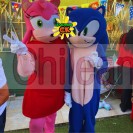 Sonic y amy rose visita express