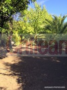 Terreno comercial y o habitacional