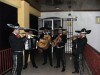 mariachis sal y tequila serenatas eventos 02-6388358 / 07-6260519 