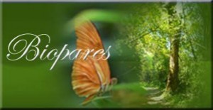 Paola Gomez Varela / alumna Dr. Goiz Terapeuta Biomagnetismo Anuncios gratis en Concepci&oacute;n |  Biomagnetismo,imanes que curan tu cuerpo, de muchas enfermedades, Todo tipo de enfermedades y stress 