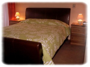 ApartSantiago Anuncios gratis en Santiago |  Arriendo  Departamentos Amoblados, En Santiago De Chile Fono :56-9-1955202, Ideales para Turistas, Se ubican a una cuadra de Metro Baquedano.....