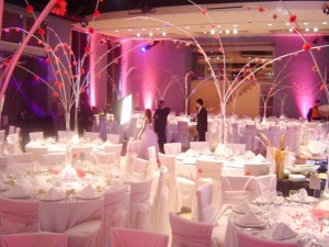  Anuncios gratis en Santiago |  PRODUCTORA DE EVENTOS - FOTOGRAFIA PARA TU EVENTO, MATRIMONIOS, CUMPLEA&Ntilde;OS, EMPRESAS, GRADUACIONES, FIESTAS DE 15, EVENTOS EN 
