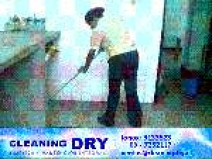 Marta Wirlok Anuncios gratis en Santiago |  Limpieza Industrial. Cleaning Dry, Providencia, las condes, vitacura, lo barnechea, &ntilde;u&ntilde;oa, macul, santiago
