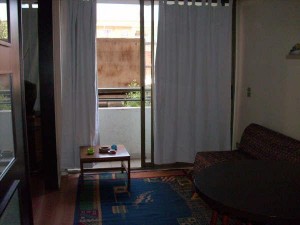 Rosa Riquelme M. Anuncios gratis en Santiago |  ARRIENDO DEPARTAMENTOS AMOBLADOS.(dia/s,semanas)SANTIAGO CENTRO, DEPARTAMENTOS NUEVOS