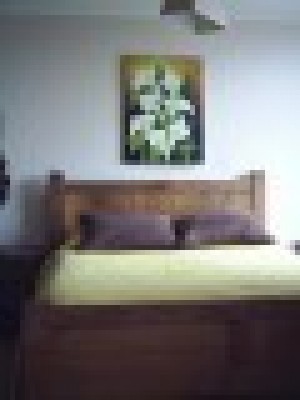  Anuncios gratis en Santiago |  ARRIENDO DEPARTAMENTOS AMOBLADOS.(dia/s,semanas), VER FOTOS EN P&Aacute;GINA WEB.