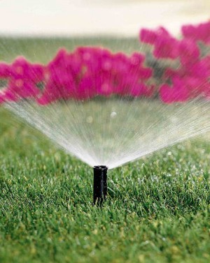 VIDA.VERDE Anuncios gratis en La Florida |  INSTALACION DE PASTO EN PALMETAS Y RIEGO AUTOMATICO, PAISAJISMO, DISE&Ntilde;O DE JARDINES, AMPLICIONES, TERRAZAS