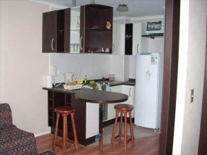 Rosa Riquelme M. Anuncios gratis en Santiago |  ARRIENDO DEPARTAMENTOS AMOBLADOS.(dia/s,semanas)SANTIAGO CENTRO, METRO UNIVERSIDAD CATOLICA