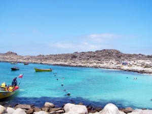 Arraial Tours Ltda Anuncios gratis en Coquimbo |  Programas a Isla Damas y Valle de Elqui en grupo y econ&oacute;mico, aproveche los precios de temporada baja!...