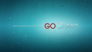 LUIS VELASQUEZ Anuncios gratis en Lo Barnechea |  LIMPIEZA DE ALFOMBRAS GOCLEAN LTDA, MANTENCION EN GENERAL
