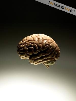 estimulovital Anuncios gratis en Santiago |  ENFERMEDADES NEUROL&Oacute;GICAS,TRATAMIENTO NATURAL PARA ENFERMOS CR&Oacute;NICOS, Esclerosis m&uacute;ltiple-ela-miastenia gravis,accidentes vasculares encef&aacute;licos.