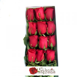eljardinderosas Anuncios gratis en Santiago |  FLORERIAS EN SANTIAGO CENTRO CHILE , DESPACHOS GRATIS A DOMICILIO 02-6887487 