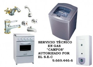 Carlos Campos Mar&iacute;n Anuncios gratis en Independencia |  Servicios de Gasfiter&iacute;a y Electrodom&eacute;sticos, Instalaci&oacute;n,reparaci&oacute;n y mantenci&oacute;n en gasfiter&iacute;a y electrodom&eacute;sticos