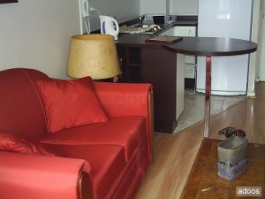  Anuncios gratis en Santiago |  ARRIENDO DEPARTAMENTOS AMOBLADOS.(dia/s,semanas), VER FOTOS EN P&Aacute;GINA WEB.