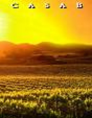 pilar Anuncios gratis en Casablanca |  parcela el pangal, casablanca