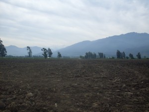 SAMUEL FARFAN ROJAS Anuncios gratis en San Fernando |  VENDO PROPIEDAD LADO CARRETERA 5SUR, BONITA PROPIEDAD COLCHAGUA