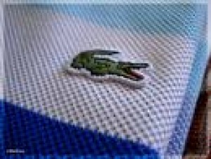 FELIPE Anuncios gratis en Providencia |  CAMISAS Y POLERAS LACOSTE, TOMMY HILFIGER Y POLO RALPH LAURENT, APROVECHE Y HAGA NEGOCIO
