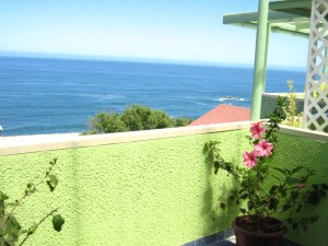 Sonia Pedregal Astorga Anuncios gratis en Re&ntilde;aca |  Arriendo departamento en Re&ntilde;aca, Equipado 6 personas maximo