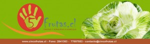 cinco frutas Anuncios gratis en Vi&ntilde;a del Mar |  Lo mejor en frutas y verduras frescas a sus hogares, cinco frutas, lo mejor en Frutas y verduras a Domicilio