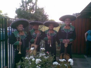 johnny luis Anuncios gratis en Macul |  eventos serenatas mariachis charros en vivo sal y tequila, SAL Y TEQUILA MARIACHIS SERENATAS EN VIVO 