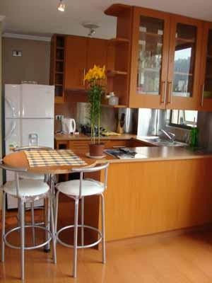 HOMECHILE Anuncios gratis en Providencia |  FURNISHED APARTMENT FOR RENT, DEPARTAMENTO AMOBLADO EN ARRIENDO