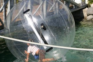 Marcelo Azola Anuncios gratis en Vi&ntilde;a del Mar |  Vendo Water Ball nuevas , de TPU
