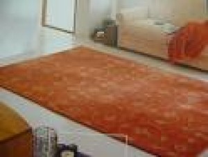 carlos  Anuncios gratis en Vi&ntilde;a del Mar |  Limpieza de alfombras en Quilpue Belloto Villa Alemana 2335802 - 083295267, limpieza de alfombras muro a muro y decorativas en vi&ntilde;a del mar 