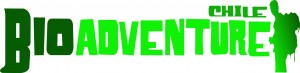 BIOADVENTURE CHILE Anuncios gratis en Providencia |  RENT A BIKE RENTAL TREKKING TOURS BIKE TOURS , BIOADVENTURE CHILE RENT A BIKE TOURS RENT A SKI 