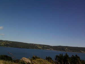 laura  Anuncios gratis en Estaci&oacute;n Central |  se necesita se&ntilde;orita buena presencia , para la ciudad de los lagos chiloe