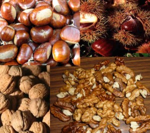 JACQUELINE Anuncios gratis en Rancagua |  NUECES Y CASTA&Ntilde;AS COSECHA 2010, STOCK A PRECIOS INCOMPARABLES