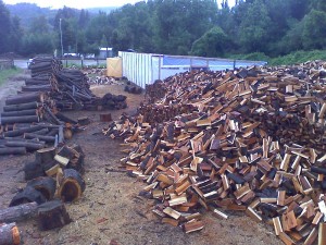 Scandar Rabah Heresi Anuncios gratis en Concepci&oacute;n |  LE&Ntilde;A, SECA, CONCEPCION, SERIEDAD, VER WWW.ASTILLAS.CL,  DESPACHO A DOMICILIO SIN COSTO