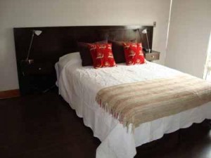 HomeChile Anuncios gratis en Providencia |  Departamento Amoblado, Arriendo Departamento en Las Condes, Providencia, Santiago Centro