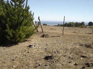 VERONICA Anuncios gratis en Pichilemu |  Terrenos en lugares hermosos de Pichilemu, sin problemas de tsunami, Hermosos terrenos